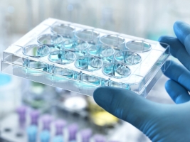 山东新华制药股份(00719.HK)：公司利丙双卡因乳膏获得《药品注册证书》