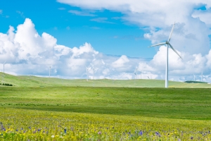 大唐发电(00991.HK)公告：董事会批准旗下阿拉善左旗公司吸收合并新能源子公司