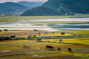 中国高精密(00591.HK)：成立ESG委员会，委任五名成员